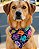 DOG'S ROXO - Bandana Pet - Imagem 1