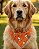 SNOOPY LARANJA - Bandana Pet - Imagem 1