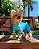 VIDA PRAIANA AZUL MACACÃO - Roupa UV50+ (roupa pet com proteção solar) - Imagem 2