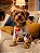 Pijama de Cachorro - LOVE & FUN - Imagem 2