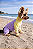 Roupa UV50+ para Cachorro – Macacão de Proteção Solar | COLEÇÃO AMOR PERFEITO - Imagem 2