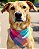 XADREZ COLORS - Bandana Pet - Imagem 1
