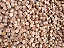 Cavilhas Cônica Madeira 12mm Deck Assoalho 1.000und - Imagem 1