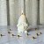 Vela Natural | Duendezinho de Natal #3 - Imagem 1