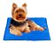 Tapete Gelado Pet Cool Mat - Tapete Gelado Para Cachorro - Imagem 3