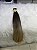 Cabelo Brasileiro Moreno Iluminada 45cm 50gramas - Imagem 2