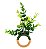 Porta Guardanapo Mini Ficus - Imagem 1
