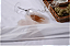 Protetor de Colchão Solteiro Impermeável c/ Elástico Ajustável 90x190 Ortobom - Imagem 7