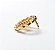 Pin Broche Acácia  Strass Incolor Maçonaria - Imagem 5