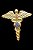 Pin Broche Caduceu de Hermes - Maçom - Imagem 1