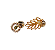 Kit Maçonaria Pins Broches 02 Acácias - Imagem 1