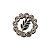 Pin Broche Acácia Strass Incolor - Prateado - Imagem 1