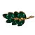 Boton Pin Folha De Acácia Verde - Dourado - Imagem 5