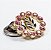 Pin Broche Acácia Strass Rosa - Imagem 1