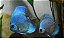 Disco Blue Diamond 7cm - Imagem 1