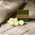 Wax Melts Aromatizador | Mix Cacau Noir + Lemongrass - Imagem 1