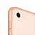 Novo Apple iPad - 10,2 polegadas, Wi-Fi, 32 GB - Dourado - 8 - Imagem 5