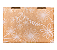 Caixa de Papelão Kraft com Branco - 16x11x3 - Flores - Gratidão (Externa) - Imagem 13