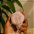 Shampoo em Barra Tropical - Hidratação e Leveza - Imagem 2