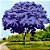 Quadro de paisagem Ipê roxo - Imagem 2