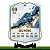 Placa SEU CARD TOTY ERAS 2002 ICON - Imagem 1