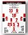 Quadro Escalação Campeão Da América 2005 - Imagem 4
