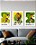 Kit 3 Quadros - Trindade do Tri - Imagem 3
