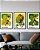 Kit 3 Quadros - Trindade do Tri - Imagem 1