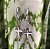 Mini argolas  cruz - Imagem 1