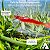 Embalagem para Fishing Lures Iscas Artificial BAX-204 (3x2x10 cm) KIT 75un Carregador de Celular - Imagem 2