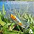 Embalagem para Fishing Lures Iscas Artificial BAX-204 (3x2x10 cm) KIT 75un Carregador de Celular - Imagem 4