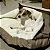 Cama Com Cobertor Cão e Gato Linhaça and White ZaraBlue - Imagem 2