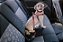 Adaptador De Cinto De Segurança Cachorro Pink Zarablue - Imagem 2