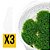 Kit Riccardia Chamedryfolia x3 - Imagem 1