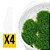Kit Riccardia Chamedryfolia x4 - Imagem 1