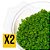 KIT Micranthemum Sp. Monte Carlo - AquaPlante In Vitro x2 - Imagem 1