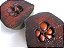 Mudas de Sapota preta ou Fruta Pudim de Chocolate - Imagem 3