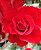 Rosa Trepadeira cor Vermelho VELUDO Flores GRANDES - Imagem 2