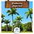 Palmeira Imperial Muda - Roystonea Oleracea - Lote 38/21 - Imagem 2