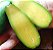 Abacate Avocado SEM SEMENTE - Muda Enxertada - Excelente p/ Vasos - Imagem 2