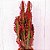 Euphorbia Trigona 'Rubra' - Imagem 4