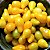 Tomate Lumen - Raridade - kit c/ 6 Sementes - Imagem 1