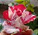Rosa Sentimental -  Arbustiva Mesclada Pink e Branca - Enxertada - Imagem 2