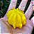 Pitanga Gigante ou Pitangatuba Amarela - Planta Adulta  - Ótima p/ Vasos - Imagem 6