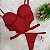 Conjunto Lingerie Corset Vermelho - Imagem 1