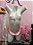 Mini Fantasia Babá Feminina com Top estilo Sutiã em Tule Calcinha em Cetim e Acessório de cabeça - Imagem 1
