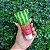 Lubrificante Babaloo Gel Ice 60g Hot Flowers - Imagem 4