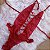 Body Prazer em Renda Sensual Vermelho - Imagem 8