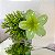 Presilha Tropical Flor Grande Verde - Imagem 4