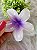 Presilha Tropical Flor Grande Lilás - Imagem 4